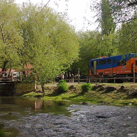 Camping Y Hostal El Ovejero Ελ Καλαφάτε Εξωτερικό φωτογραφία