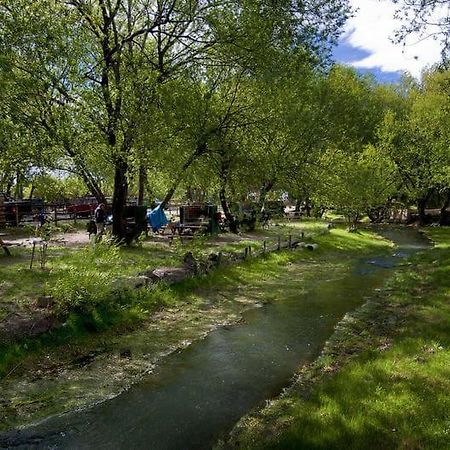 Camping Y Hostal El Ovejero Ελ Καλαφάτε Εξωτερικό φωτογραφία