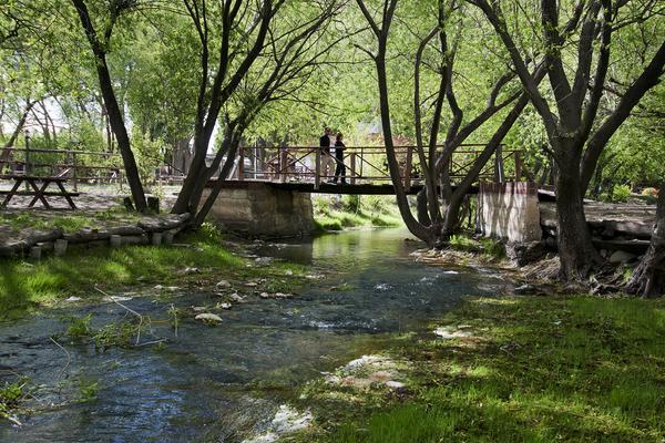 Camping Y Hostal El Ovejero Ελ Καλαφάτε Εξωτερικό φωτογραφία